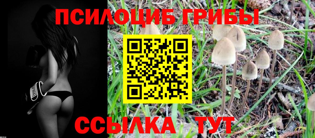 Магадан  Галлюциногенные грибы Magic Shrooms  Вход с VPN 