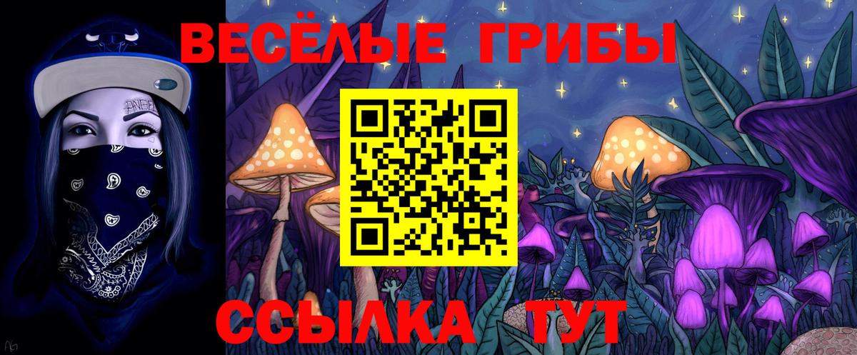 Галлюциногенные грибы GOLDEN TEACHER Магадан
